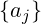 \{a_j\}